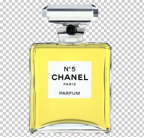 does chanel no 5 have ambergris|ambergris perfume.